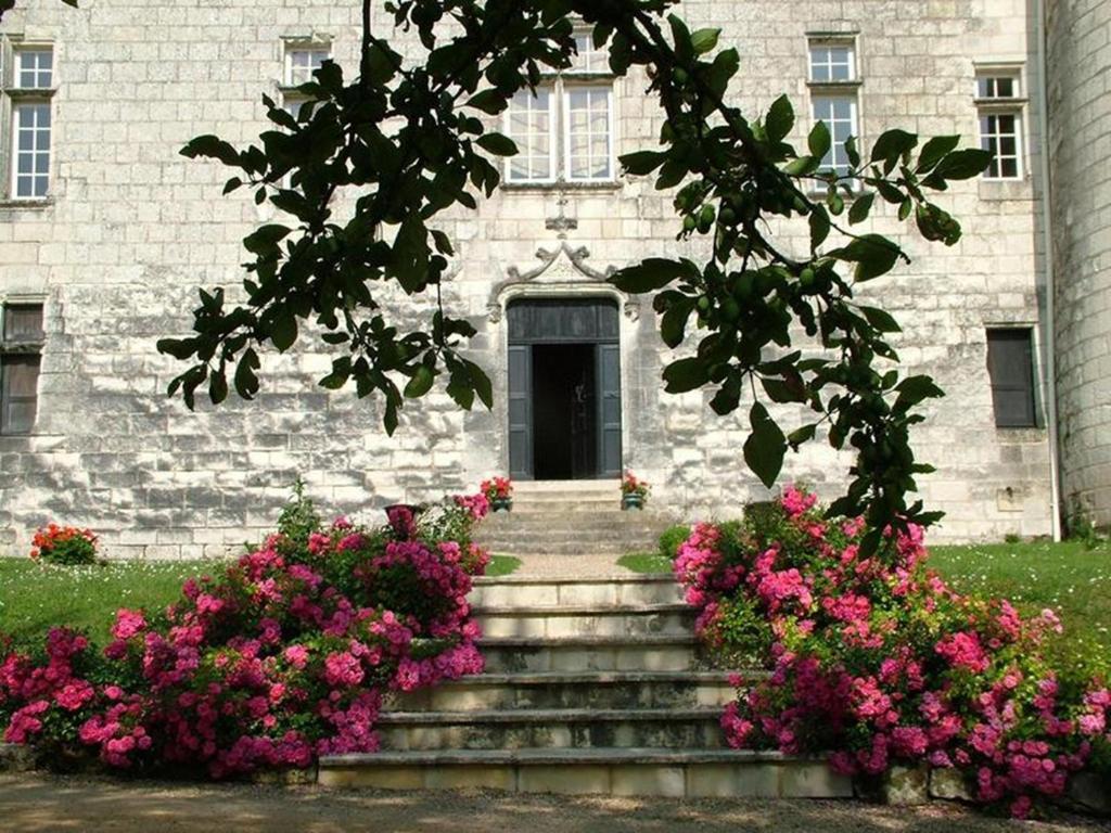 Chambres D'Hotes Chateau De La Motte Usseau  Eksteriør bilde