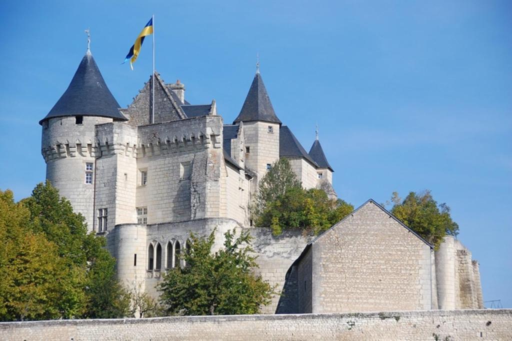 Chambres D'Hotes Chateau De La Motte Usseau  Eksteriør bilde