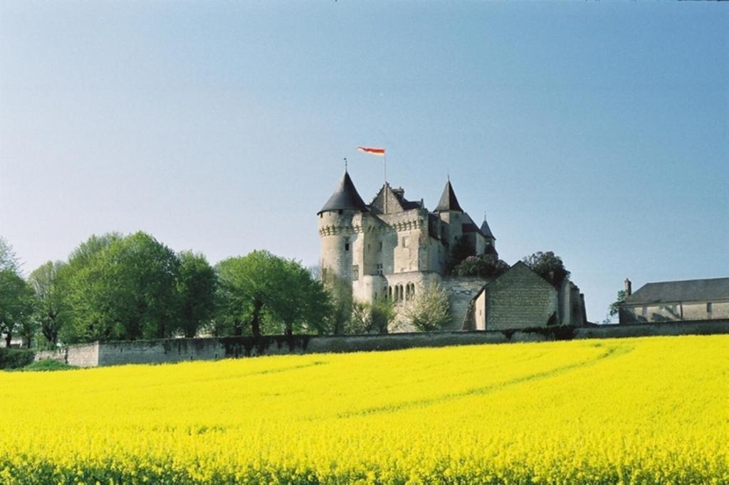 Chambres D'Hotes Chateau De La Motte Usseau  Eksteriør bilde