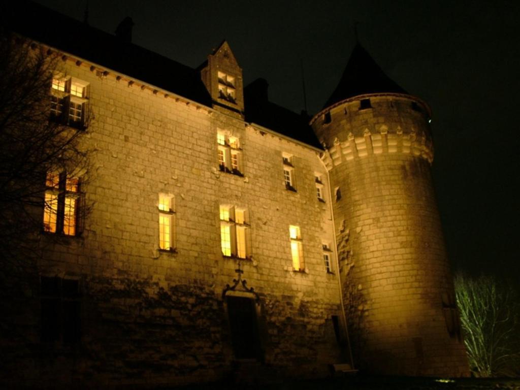 Chambres D'Hotes Chateau De La Motte Usseau  Eksteriør bilde