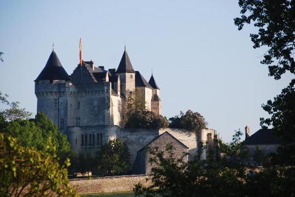 Chambres D'Hotes Chateau De La Motte Usseau  Eksteriør bilde