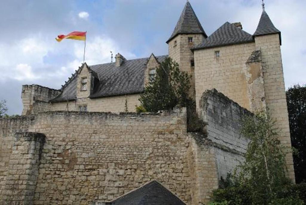 Chambres D'Hotes Chateau De La Motte Usseau  Eksteriør bilde