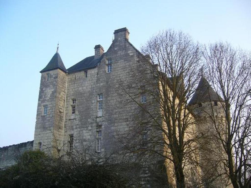 Chambres D'Hotes Chateau De La Motte Usseau  Eksteriør bilde