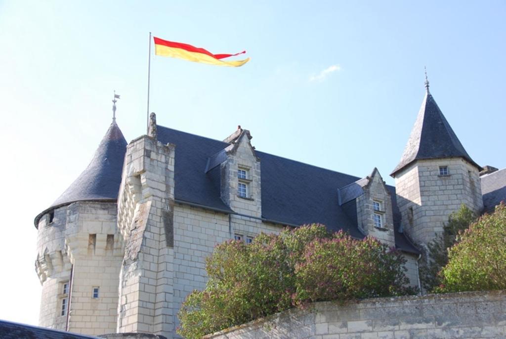 Chambres D'Hotes Chateau De La Motte Usseau  Eksteriør bilde