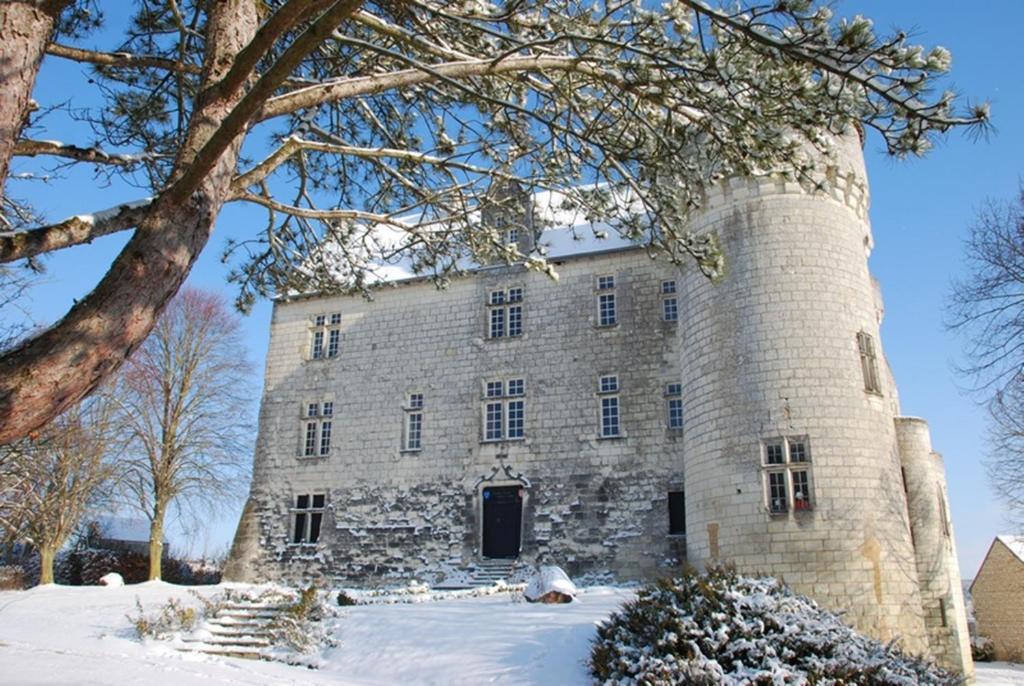 Chambres D'Hotes Chateau De La Motte Usseau  Eksteriør bilde