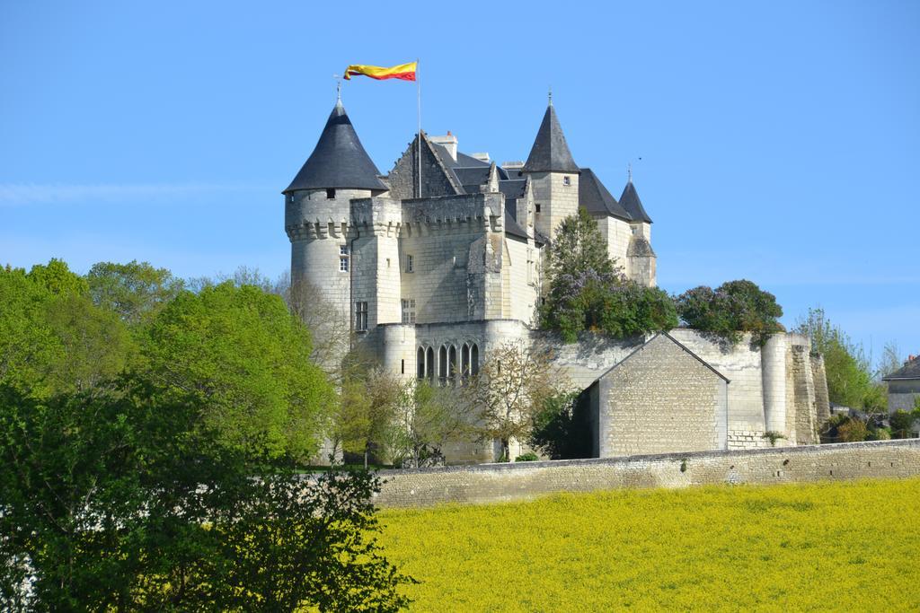 Chambres D'Hotes Chateau De La Motte Usseau  Eksteriør bilde